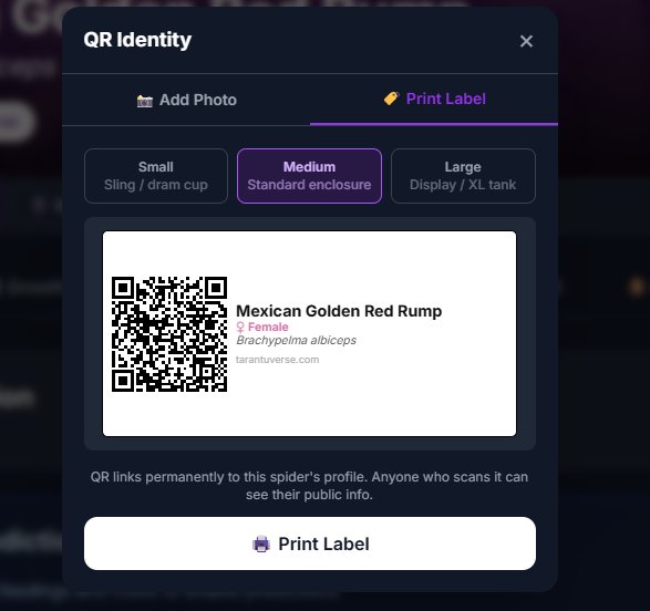 QR label modal for Mexican Golden Red Rump enclosure
